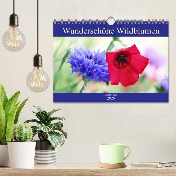Produktbild: Wundersch&ouml;ne Wildblumen (Wandkalender 2026 DIN A4 quer), CALVENDO Monatskalender