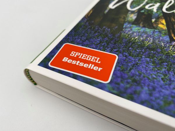 Produktbild: Gebrauchsanweisung f&uuml;r den Wald