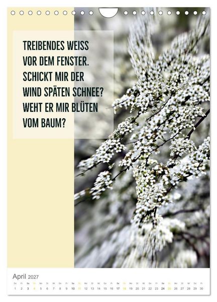 Produktbild: Tagesfarben - Poesie in Wort und Bild (Wandkalender 2027 DIN A4 hoch), CALVENDO Monatskalender