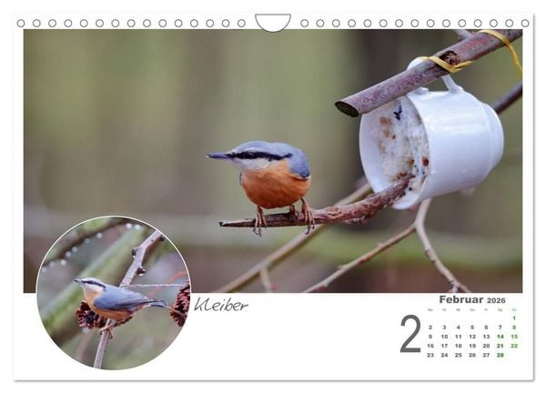 Produktbild: Gefiederte Garteng&auml;ste (Wandkalender 2026 DIN A4 quer), CALVENDO Monatskalender