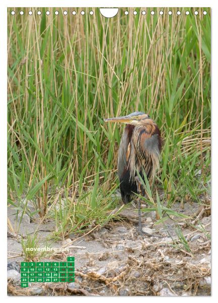 Produktbild: Lesbos l'&icirc;le aux oiseaux (Calendrier mural 2026 DIN A4 horizontal), CALVENDO calendrier mensuel