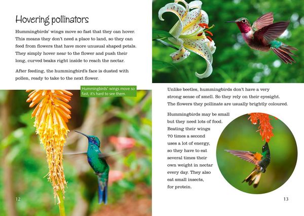 Produktbild: Big Cat - Plants, Pollen
