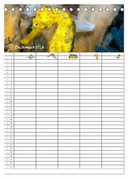 Produktbild: Der Unterwasser Familienplaner 2026 (Tischkalender 2026 DIN A5 hoch), CALVENDO Monatskalender