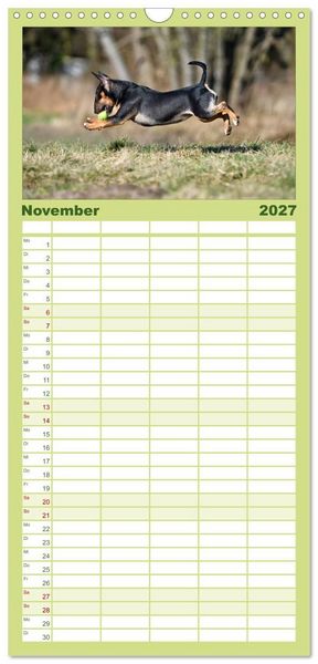 Produktbild: Familienplaner 2027 - Einmal Bullterrier - immer Bullterrier mit 5 Spalten (Wandkalender, 21 x 45 cm) CALVENDO