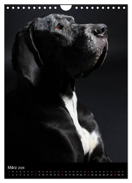 Produktbild: Faszination Deutsche Dogge (Wandkalender 2026 DIN A4 hoch), CALVENDO Monatskalender
