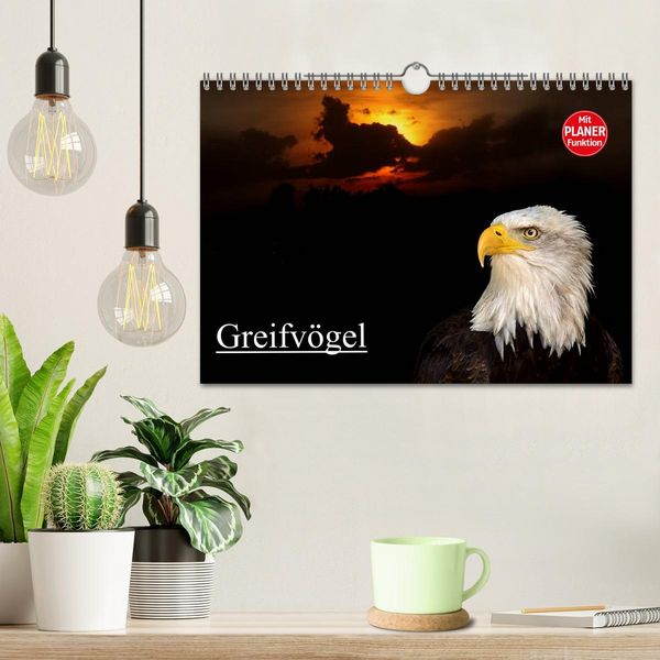 Produktbild: Greifv&ouml;gel (Wandkalender 2026 DIN A4 quer), CALVENDO Monatskalender