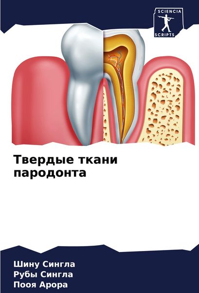 Produktbild: Twerdye tkani parodonta