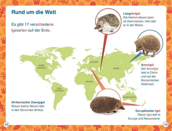 Produktbild: Superleser! Hallo, Igel!