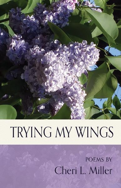 Produktbild: Trying my Wings