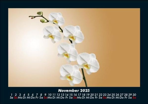 Produktbild: Blumentr&auml;ume 2025 Fotokalender DIN A5