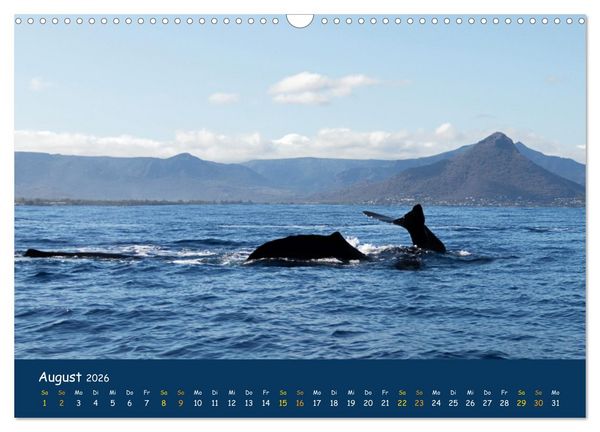 Produktbild: Faszinierende Tierwelt von Mauritius - Magische Momente der Natur (Wandkalender 2026 DIN A3 quer), CALVENDO Monatskalender