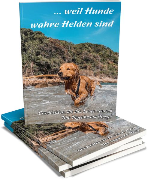 Produktbild: ... weil Hunde wahre Helden sind