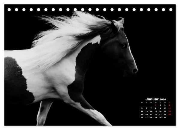 Produktbild: Pferde zwischen Licht und Schatten (Tischkalender 2026 DIN A5 quer), CALVENDO Monatskalender