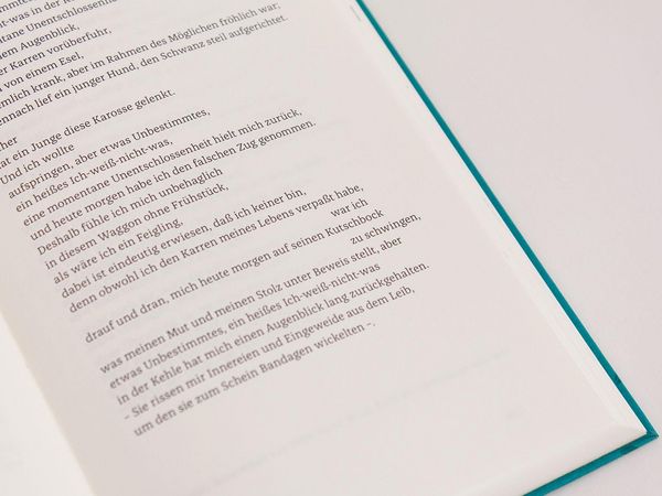 Produktbild: Die Morgend&auml;mmerung der Worte