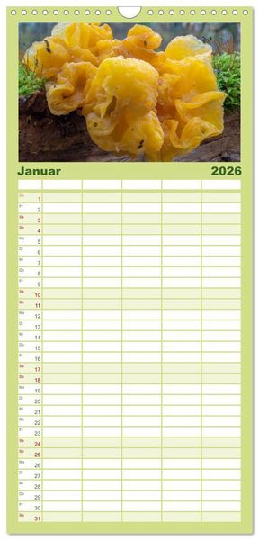 Produktbild: Familienplaner 2026 - Pilze in den Herbstw&auml;ldern mit 5 Spalten (Wandkalender, 21 x 45 cm) CALVENDO