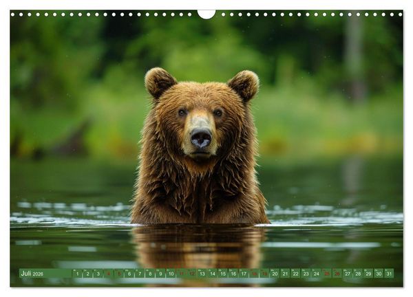 Produktbild: Wildes B&auml;renland (Wandkalender 2026 DIN A3 quer), CALVENDO Monatskalender