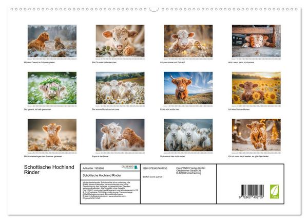 Produktbild: Schottische Hochland Rinder (hochwertiger Premium Wandkalender 2026 DIN A2 quer), Kunstdruck in Hochglanz
