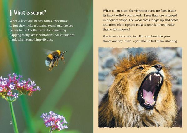 Produktbild: What is sound?