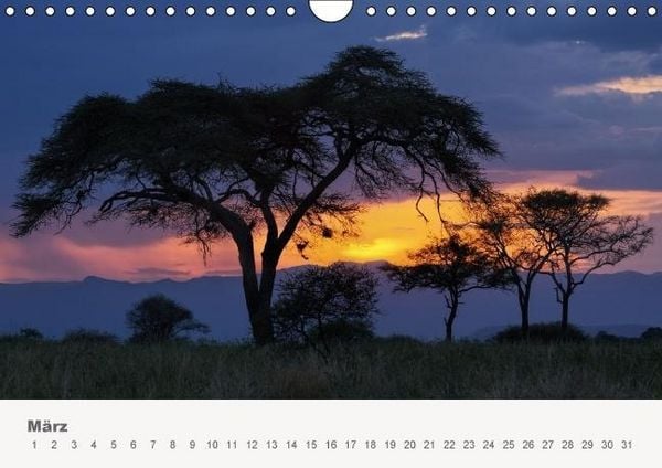Produktbild: Faszination Ostafrika - Tierwelt und Natur aus Kenia und Tansania (Wandkalender immerw&auml;hrend DIN A4 quer)
