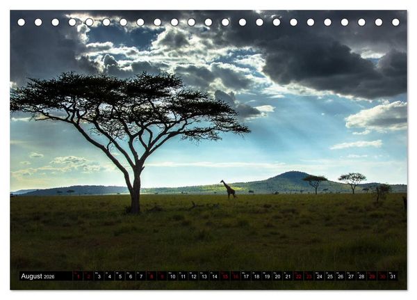 Produktbild: Tansania - Tierwanderung in der Serengeti (Tischkalender 2026 DIN A5 quer), CALVENDO Monatskalender