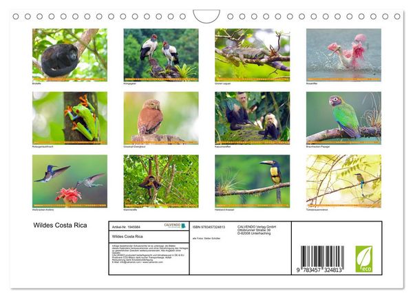 Produktbild: Wildes Costa Rica (Wandkalender 2026 DIN A4 quer), CALVENDO Monatskalender
