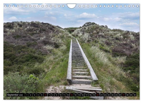 Produktbild: Urlaub auf R&ouml;m&ouml; (Wandkalender 2026 DIN A4 quer), CALVENDO Monatskalender