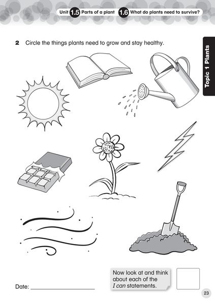 Produktbild: Collins International Primary Science