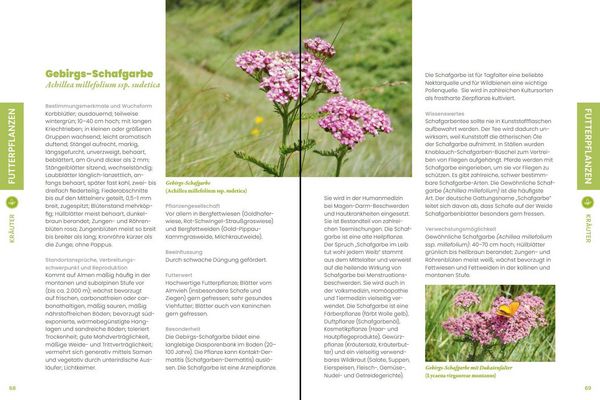 Produktbild: Praxisf&uuml;hrer Almpflanzen
