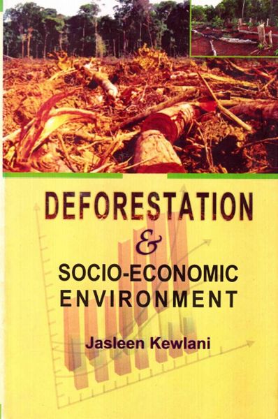 Produktbild: Deforestation and Socio-Economic Environment