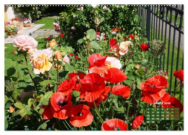 Produktbild: Urlaub im Garten (Wandkalender 2026 DIN A2 quer), CALVENDO Monatskalender