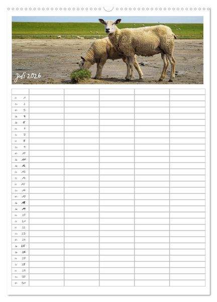 Produktbild: Nordfriesland - Familienplaner (hochwertiger Premium Wandkalender 2026 DIN A2 hoch), Kunstdruck in Hochglanz