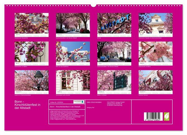 Produktbild: Bonn - Kirschbl&uuml;tenfest in der Altstadt (hochwertiger Premium Wandkalender 2026 DIN A2 quer), Kunstdruck in Hochglanz