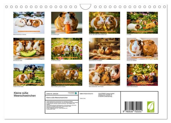 Produktbild: Kleine s&uuml;&szlig;e Meerschweinchen (Wandkalender 2027 DIN A4 quer), CALVENDO Monatskalender