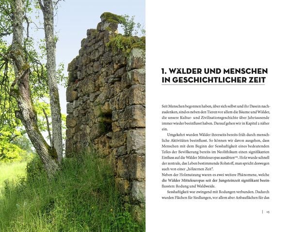 Produktbild: Die Sache mit dem Wald