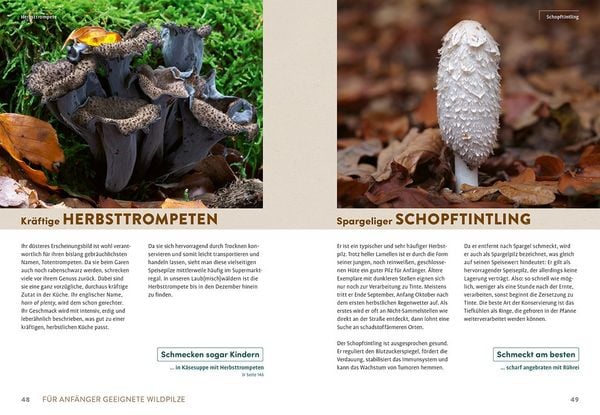 Produktbild: Pilzliebe
