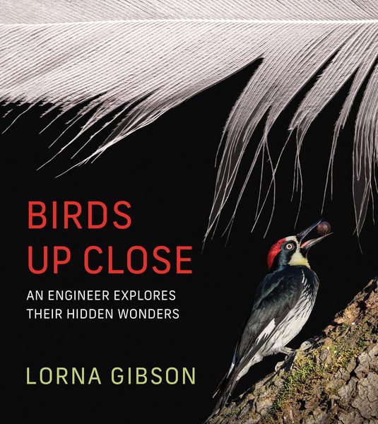 Produktbild: Birds Up Close