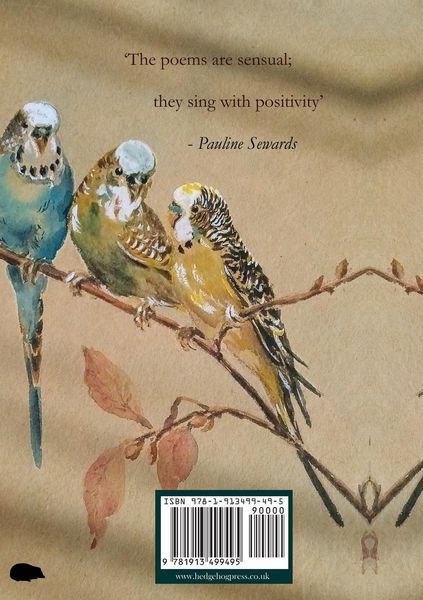 Produktbild: Bird Song and Nectar in the Silences
