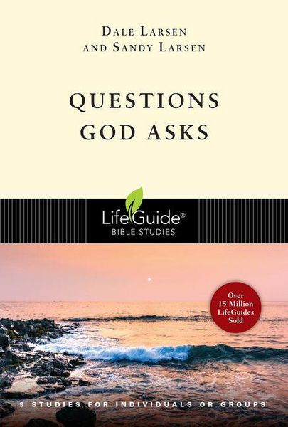 Produktbild: Questions God Asks