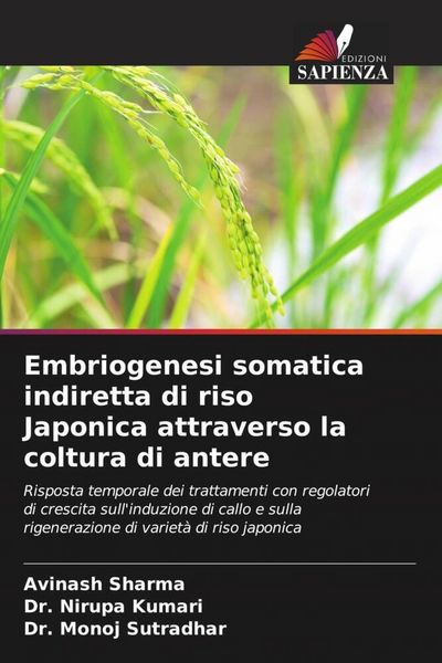 Produktbild: Embriogenesi somatica indiretta di riso Japonica attraverso la coltura di antere