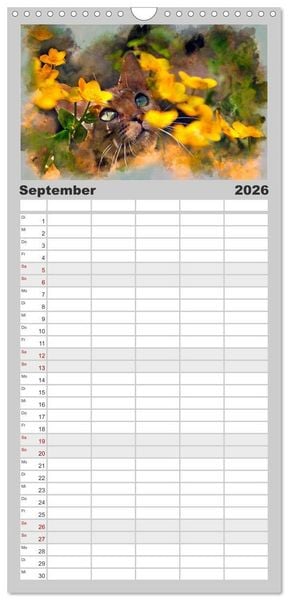 Produktbild: Familienplaner 2026 - Katzenkalender mausgemalt mit 5 Spalten (Wandkalender, 21 x 45 cm) CALVENDO