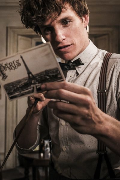 Produktbild: Phantastische Tierwesen: Grindelwalds Verbrechen  ( Blu-ray 3D)