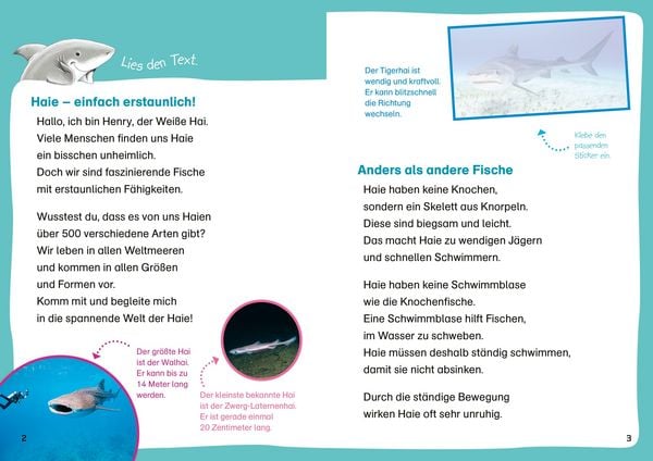 Produktbild: WAS IST WAS Erstes Leser&auml;tsel. Haie