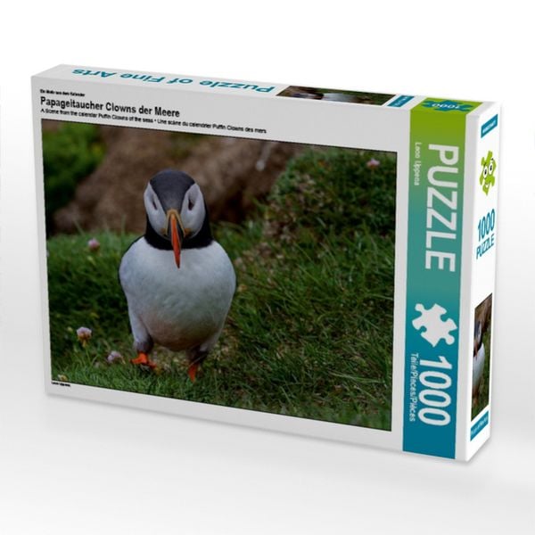 CALVENDO Puzzle Ein Motiv aus dem Kalender Papageitaucher Clowns der Meere | 1000 Teile Lege-Größe 64x48cm Foto-Puzzle für glückliche Stunden