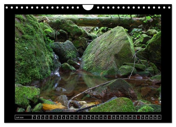 Produktbild: Odenwald - Landschaft sehen (Wandkalender 2026 DIN A4 quer), CALVENDO Monatskalender