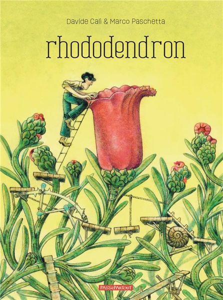 Produktbild: Rhododendron