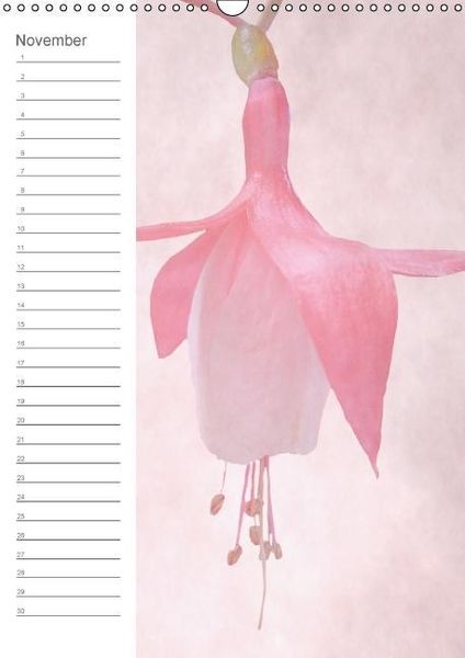 Produktbild: Zarte Bl&uuml;ten / Geburtstagskalender (Wandkalender immerw&auml;hrend DIN A3 hoch)