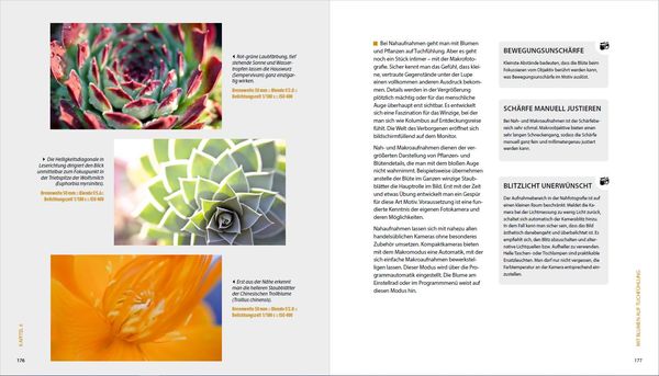 Produktbild: Garten-Shooting