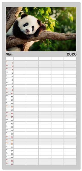 Produktbild: Familienplaner 2026 - Schwarz auf Wei&szlig; - Der Panda-Kalender mit 5 Spalten (Wandkalender, 21 x 45 cm) CALVENDO