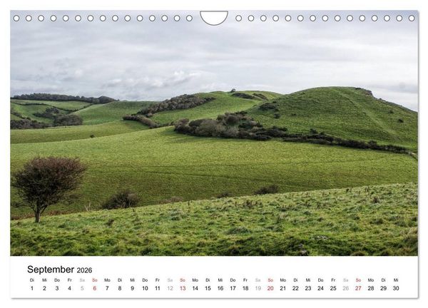 Produktbild: Englands wilder S&uuml;den (Wandkalender 2026 DIN A4 quer), CALVENDO Monatskalender