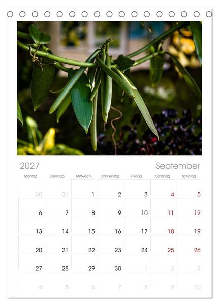 Produktbild: Tischplaner 2027 - Fr&uuml;chte der Karibik (A5 Tischkalender zum Aufstellen) CALVENDO